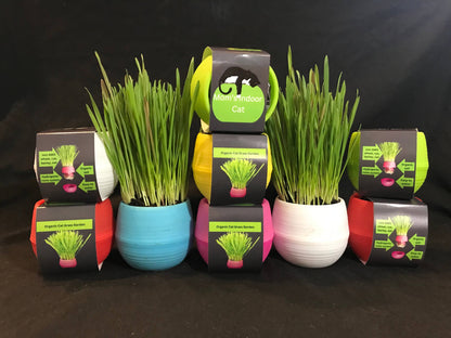 Cat Grass Garden Balls