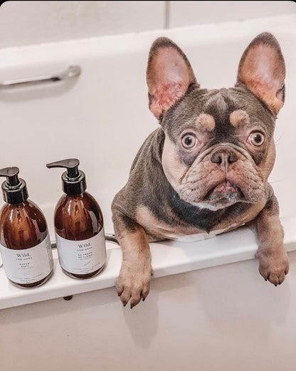 So Fresh So Clean Organic Dog Shampoo